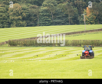 Couper l'herbe dans le champ des agriculteurs Banque D'Images