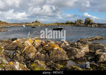 Swans extérieure sur le Ard près de Port Ellen sur l'île d'Islay Hébrides en Écosse Banque D'Images