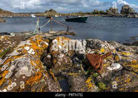 Swans extérieure sur le Ard près de Port Ellen sur l'île d'Islay Hébrides en Écosse Banque D'Images