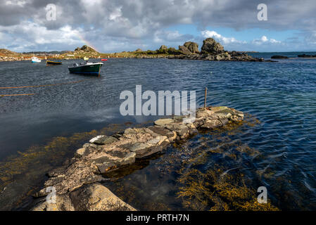 Swans extérieure sur le Ard près de Port Ellen sur l'île d'Islay Hébrides en Écosse Banque D'Images