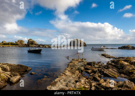 Swans extérieure sur le Ard près de Port Ellen sur l'île d'Islay Hébrides en Écosse Banque D'Images