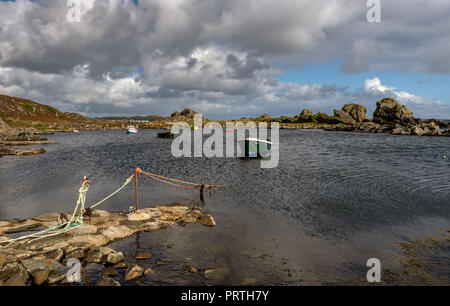 Swans extérieure sur le Ard près de Port Ellen sur l'île d'Islay Hébrides en Écosse Banque D'Images