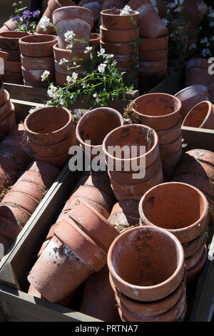 Collection de vieux pots en terre cuite vintage Banque D'Images