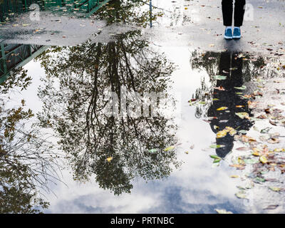 La ville d'automne - adolescent près de flaque de pluie avec la réflexion sur l'arbre sur la route en milieu urbain (l'accent sur la réflexion dans la flaque) Banque D'Images
