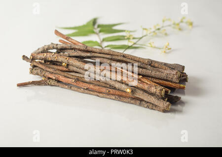 Bâtons en bois de margousier indien avec neem fleurs utilisées comme brosse à dents. Isolé sur fond blanc Banque D'Images
