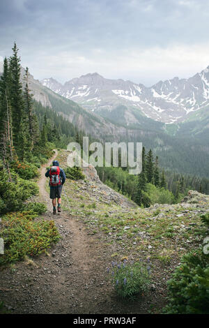 Homme randonnée, Mont Sneffels, Ouray, Colorado, USA Banque D'Images