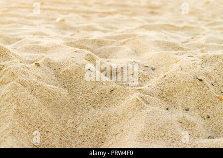 Plage de la texture du sable. Fond de sable avec une faible profondeur de champ. Low angle view. Banque D'Images