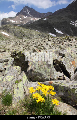L'Italie, le parc national de Stelvio. Près de col de Gavia Alpes Ortler. Paysage alpin. En arrière-plan : Corno dei Tre Signori peak, 3360m de haut. Banque D'Images