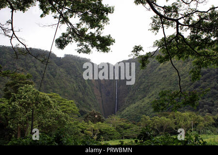 Hiilawe Falls cascadant une falaise située à l'arrière de Waipio Valley entouré d'une végétation luxuriante, dans la région de Honokaa, Hawaii, USA Banque D'Images