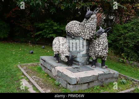 Moutons dans le Castlefield Banque D'Images