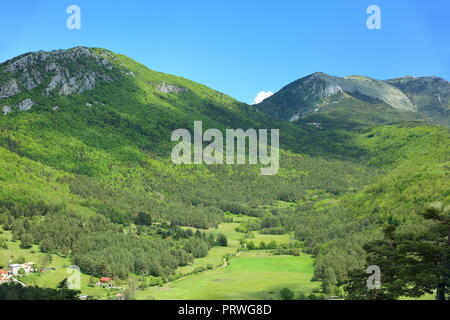 Prealpes d'Azur parc régional paysage, 06, Alpes-Maritimes, Côte d'Azur, France Banque D'Images