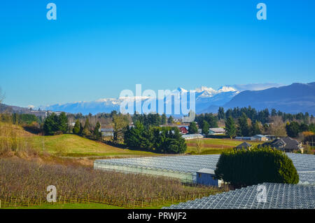 La saison d'hiver sur fruit farm dans une vallée. Vue sur une vallée avec des montagnes sur fond de ciel bleu Banque D'Images