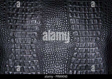 La texture de fond peau de reptile noir Banque D'Images