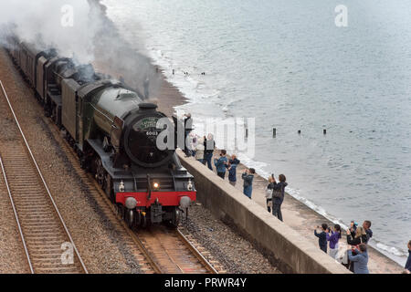 Exmouth, Devon. 4ème Oct 2018. Météo France : The Flying Scotsman sur une soirée de Taunton run à Plymouth. Vu ici en passant le long de la digue à Exmouth. L'Ecossais est le double fait équipe avec cinq noir ; la locomotive utilisée dans les films de Harry Potter ; pour faire face à la forte pente sur le Devon Mainline. Crédit : Paul Martin/Alamy Live News Banque D'Images