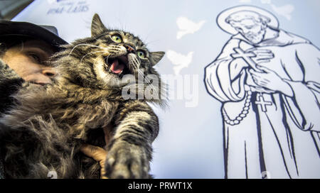 Sao Paulo, Brésil. 4ème Oct, 2018. Paroissiens accompagnés de leurs animaux domestiques assister à une messe à l'occasion du jour de Saint François d'Assise, à Sao Paulo, Brésil, 04 octobre 2018. Saint François d'assise est connu dans la religion catholique comme le protecteur des animaux. Credit : Cris Faga/ZUMA/Alamy Fil Live News Banque D'Images