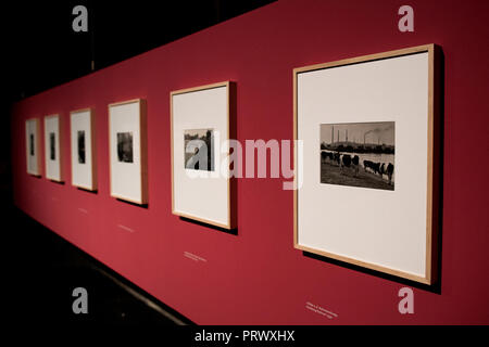 04 octobre 2018, en Rhénanie du Nord-Westphalie, Essen : plusieurs photographies d'Albert Renger-Patzsch à partir de la série "Ruhrgebietslandschaften' accrocher au mur rouge dans la Ruhr Museum au Zeche Zollverein, dans le cadre de l'exposition 'Die Ruhrgebietsfotografien'. Renger-Patzsch (1897-1966), en collaboration avec August Sander, est l'un des plus importants photographes documentaire de la République de Weimar. La Ruhr photographies ont été prises entre 1927 et 1935 et définit le style de photographie industrielle. Photo : Marcel Kusch/dpa Banque D'Images