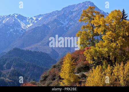 Zhangye. 4ème Oct, 2018. Photo prise le 4 octobre 2018, présente le décor de l'automne de la montagnes Qilian dans le canton de tibétain en mati Sunan Yugur comté autonome du nord-ouest de la Chine, la province du Gansu. Credit : Wang Jiang/Xinhua/Alamy Live News Banque D'Images