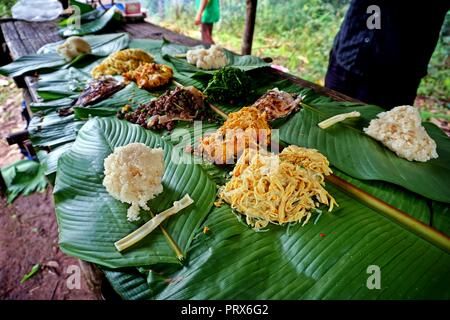 Déjeuner laotien traditionnel dans les forêts tropicales, l'aire protégée de Nam Ha, Laos Banque D'Images