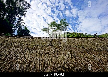 Cabane traditionnelle, camping dans une forêt tropicale luxuriante, l'aire protégée de Nam Ha, Laos Banque D'Images