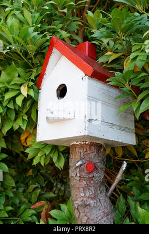 Le rouge et le blanc des wooden birdhouse entouré de verdure, Vancouver, BC, Canada Banque D'Images