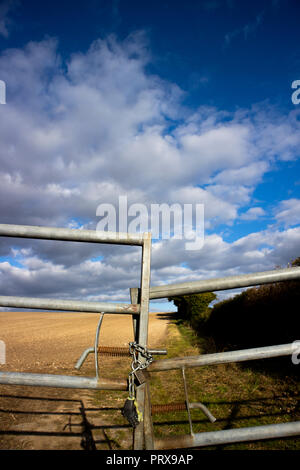 Metal verrouillé ferme à pans de terres agricoles en milieu rural sur le terrain Hampshire Banque D'Images