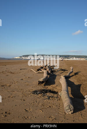 Octobre 2018 - dérive sur la plage à Weston super Mare, dans la région de Somerset du Nord. Banque D'Images