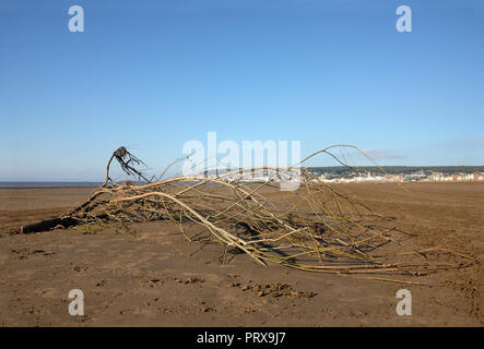 Octobre 2018 - dérive sur la plage à Weston super Mare, dans la région de Somerset du Nord. Banque D'Images