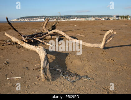 Octobre 2018 - dérive sur la plage à Weston super Mare, dans la région de Somerset du Nord. Banque D'Images