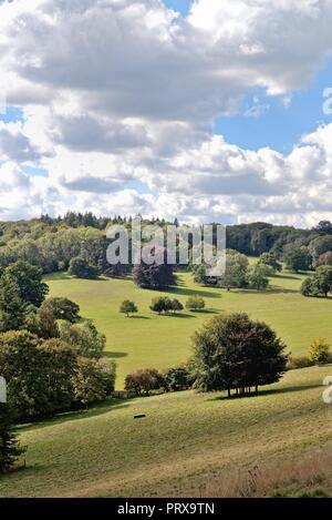 Paysage rural de Ranmore Common Dorking Surrey England UK Banque D'Images