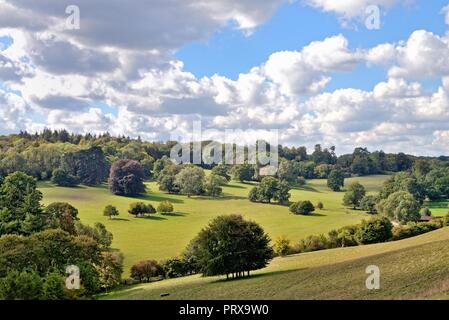 Paysage rural de Ranmore Common près de Dorking Surrey England UK Banque D'Images
