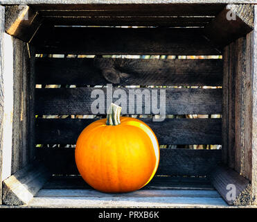 Pumpkns orange dans des caisses en bois Banque D'Images