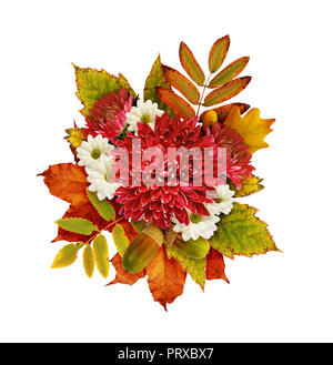 Bouquet d'automne avec les chrysanthèmes fleurs et feuilles sèches isolé sur blanc. Vue d'en haut. Mise à plat. Banque D'Images