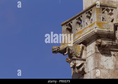 Avril 2018, Regensburg, Allemagne - gorgoyles décorant les murs de Ratisbonne Dom (cathédrale), site du patrimoine mondial de l'UNESCO Banque D'Images