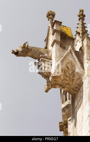 Avril 2018, Regensburg, Allemagne - gorgoyles décorant les murs de Ratisbonne Dom (cathédrale), site du patrimoine mondial de l'UNESCO Banque D'Images