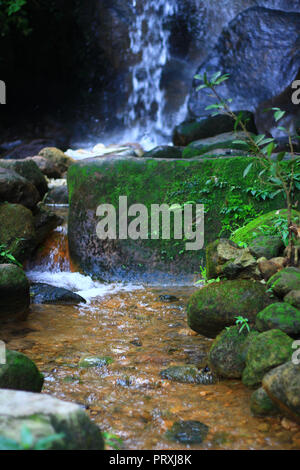 Bayan Wild Hot Springs, Yangmingshan, Taipei, Taiwan Banque D'Images