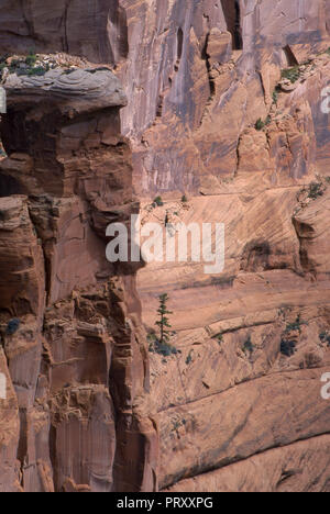 Rock francophone (à gauche), canyon de Chelly, Arizona. Photographie Banque D'Images