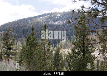 Voir des roches sur la route qui mène à Lake Tahoe en Californie, USA. Banque D'Images