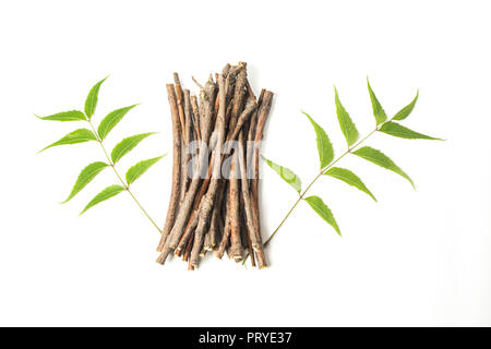 Bâtonnets de neem et de feuilles de margousier. blanc fond isolé. Banque D'Images