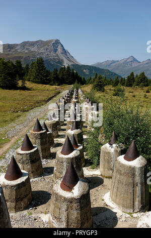 Barrière réservoir système de défense, Plamort, la seconde guerre mondiale, pour protéger l'Italie de l'Allemagne nazie, près de Plamorter Biotop de tourbières bombées, moss Banque D'Images