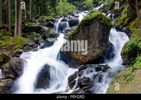 Des roches dans le ruisseau de montagne, Val Genova, Genova Valley, près de Carisolo, Adamello-Brenta Park, Vinschgau Banque D'Images