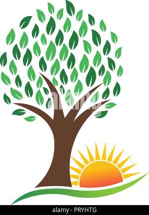 Arbre Nature et dynamique, Sun logo Vector Illustration de Vecteur