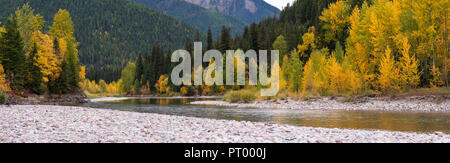 La couleur de l'automne le long de la Middle Fork Flathead au Montana. Banque D'Images