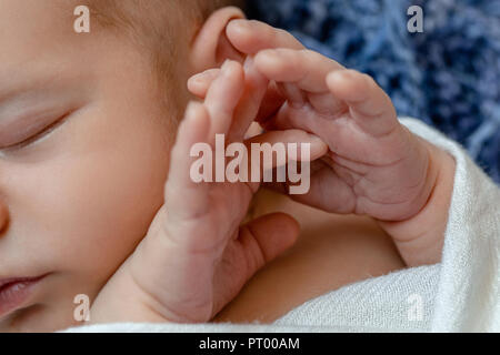 Close-up of little baby poignées. Le nouveau-né garçon dormir sous une couverture en tricot blanc bleu se trouve sur la fourrure. Banque D'Images