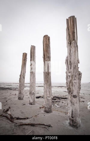 Le bois pourri posts d'une ancienne jetée sur le Grand Lac Salé dans la boue gris stand sous un ciel gris. Banque D'Images