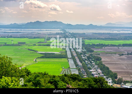 Champs de riz vert en milieu rural au Vietnam pour la saison des inondations passer de belle vue. Banque D'Images