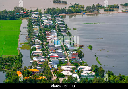 Champs de riz vert en milieu rural au Vietnam pour la saison des inondations passer de belle vue. Banque D'Images