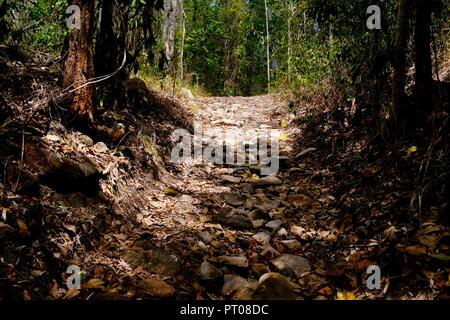 Une piste de marche à travers le bush australien, Dalrymple gap, Queensland, Australie Banque D'Images