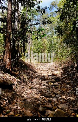 Une piste de marche à travers le bush australien, Dalrymple gap, Queensland, Australie Banque D'Images