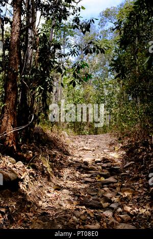 Une piste de marche à travers le bush australien, Dalrymple gap, Queensland, Australie Banque D'Images