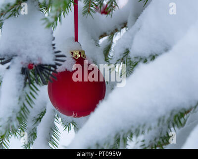 Ampoules de Noël couvert de neige étendus dehors Banque D'Images